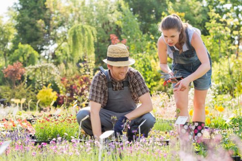 Lush, green hedges contributing to garden biodiversity